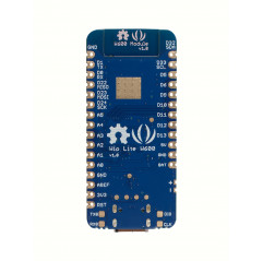 Wio Lite W600 - ATSAMD21 Cortex-M0 Wireless Development Board - Seeed Studio Cartes 19010052 SeeedStudio