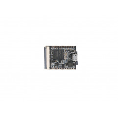 Sipeed Lichee Nano Linux Development Board - Seeed Studio Cartes 19010139 SeeedStudio