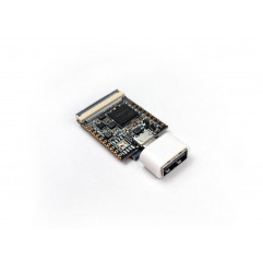 Sipeed Lichee Nano Linux Development Board - Seeed Studio Karten 19010143 SeeedStudio