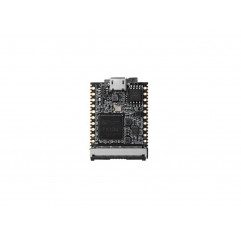 Sipeed Lichee Nano Linux Development Board - Seeed Studio Cards 19010143 SeeedStudio