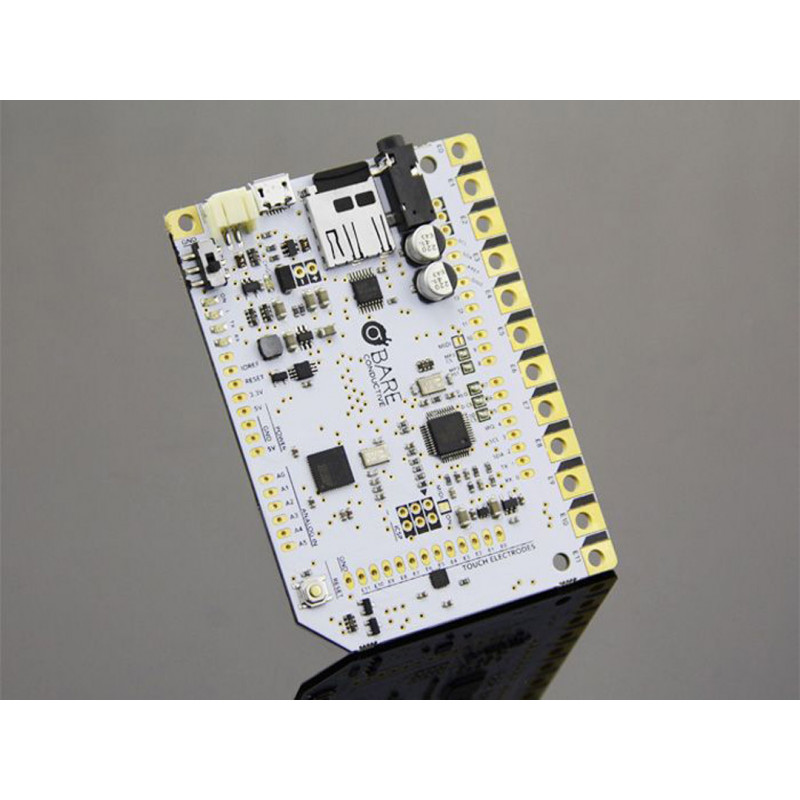 Bare Conductive Touch Board - Seeed Studio Cards 19010036 SeeedStudio