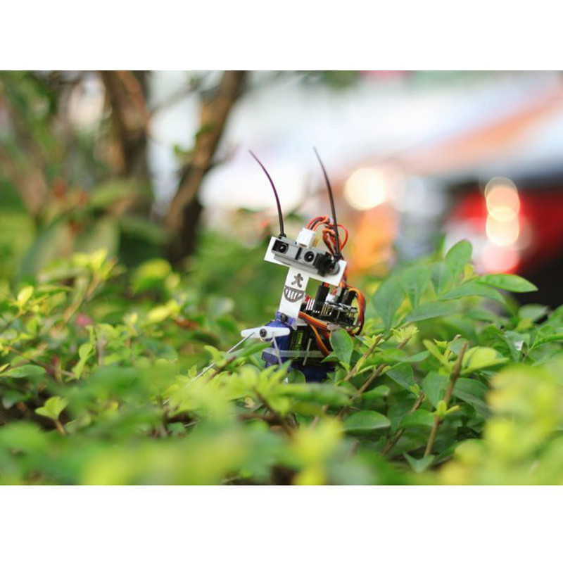 Insect bot - Seeed Studio Robotique 19011071 SeeedStudio
