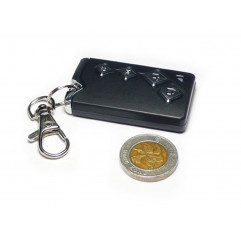 315Mhz Wireless car key fob with key chain (battery included) - Seeed Studio Wireless & IoT 19010776 SeeedStudio