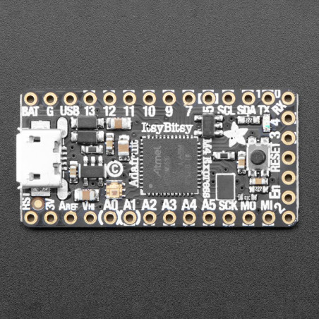 Adafruit ItsyBitsy M4 Express featuring ATSAMD51