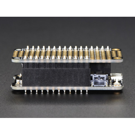 Feather Header Kit - 12-pin and 16-pin Female Header Set