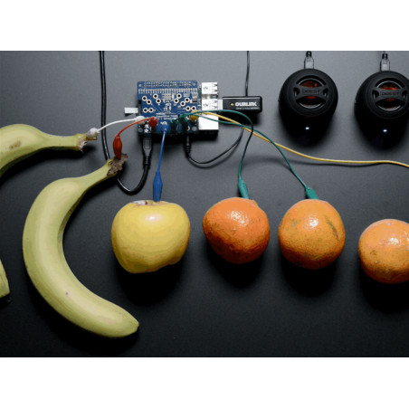 Adafruit Capacitive Touch HAT for Raspberry Pi - Mini Kit - MPR121 Adafruit19040304 Adafruit