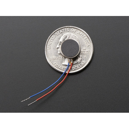 Vibrating Mini Motor Disc