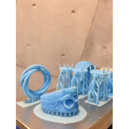 Phrozen Cire par Bluecast (0.5KG)