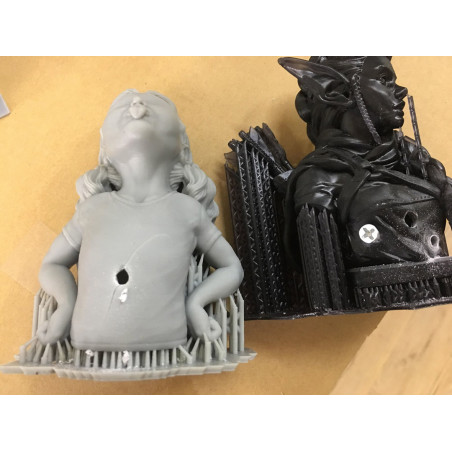 Phrozen Roche de résine - Noir (1KG)