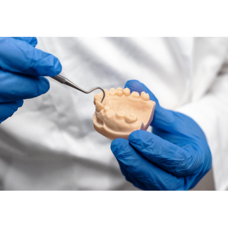 Dental LCD Series - Model Resin - Gypsum Peach - Formfutura