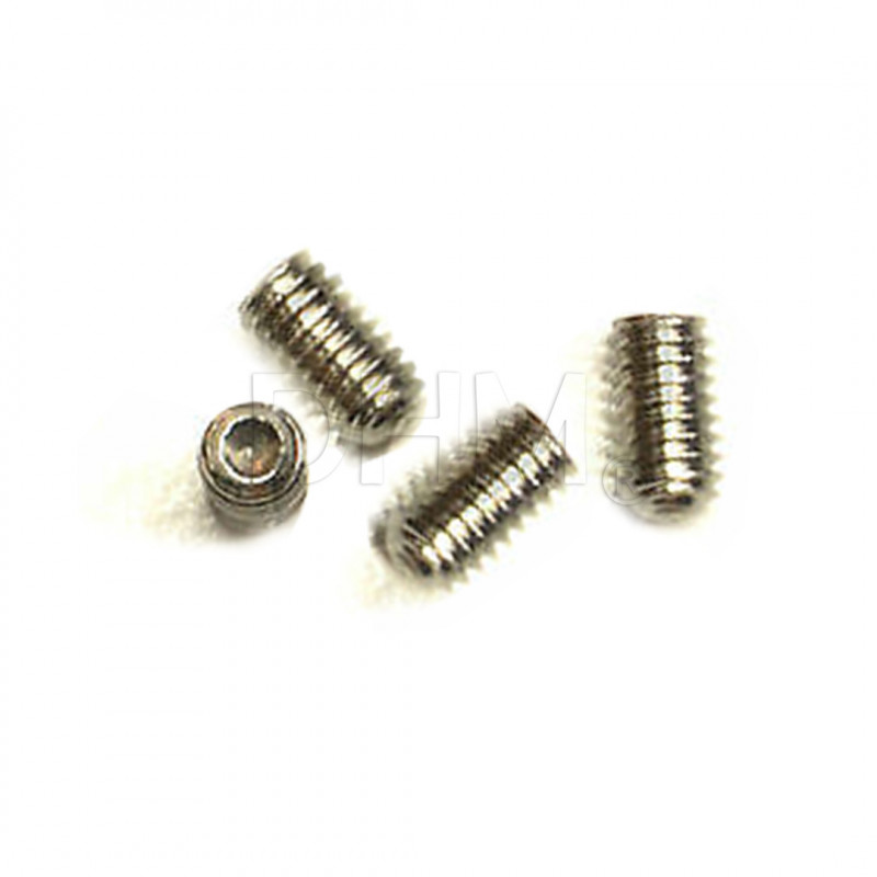 Headless screw M4*4 AISI 316 - 4 pieces Grains 02030101 DHM