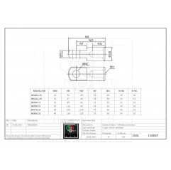 Giunto I - Snodo filettato femmina - M10x1,25 Snodi04100101 DHM