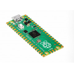 Raspberry Pi Pico Schede Raspberry Pi19220020 Raspberry Pi