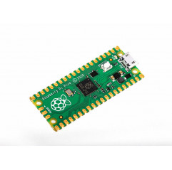 Raspberry Pi Pico Schede Raspberry Pi19220020 Raspberry Pi