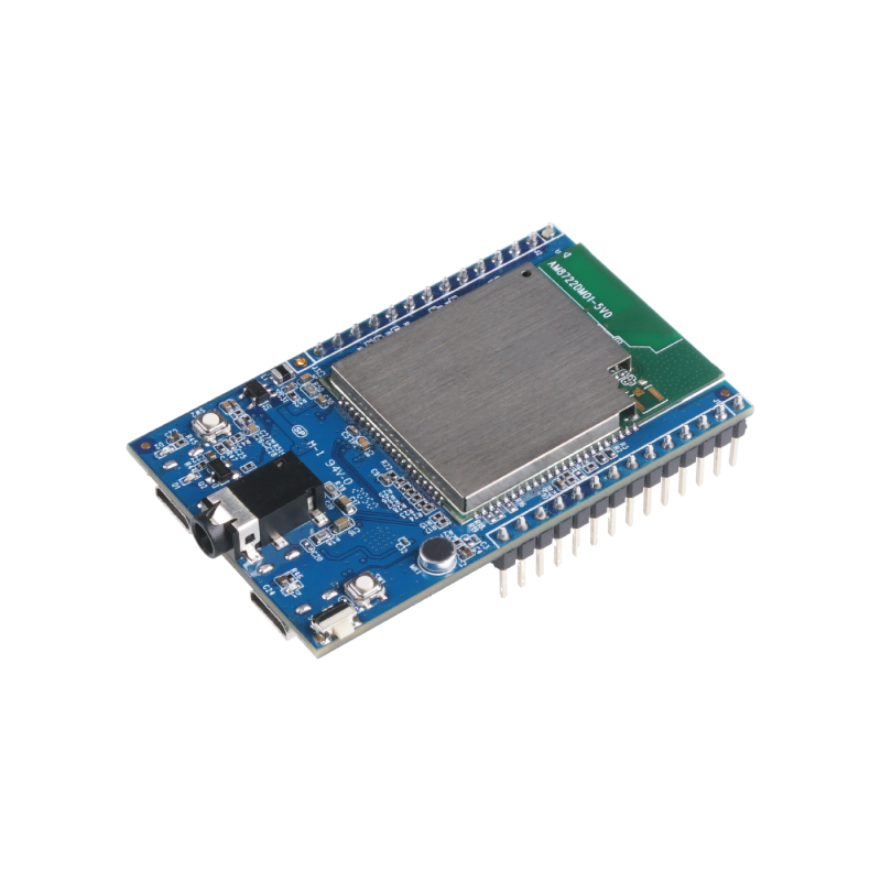 Carte miniature RTL8722DM d'Ameba - Wireless Dev. Carte/ Cortex M4 / TensorFlow Lite Wireless & IoT 19011216 SeeedStudio