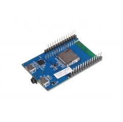 Ameba RTL8722DM mini Board - Wireless Dev. Board/ Cortex M4 / TensorFlow Lite Wireless & IoT19011216 SeeedStudio