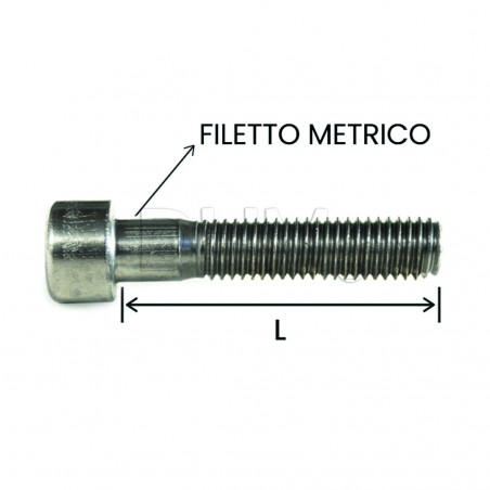 Vite 4x8 testa cilindrica con incasso a brugola inox