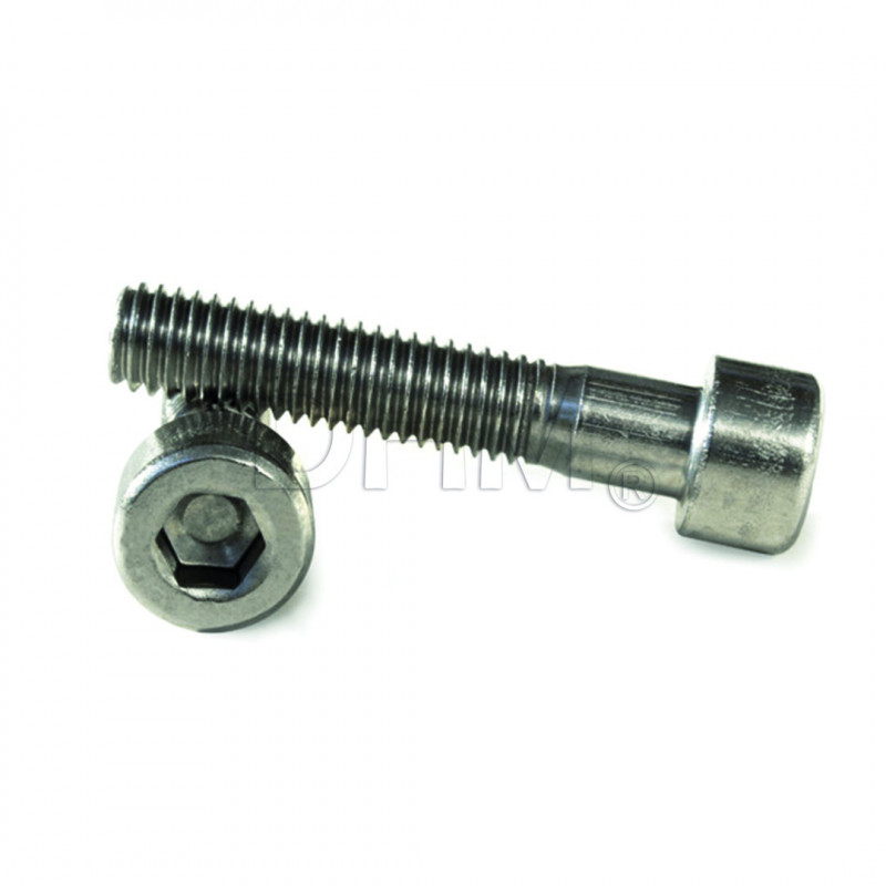 Vite A Testa Brugola 3/8-16 X 6 Pollici – Acciaio Inox 18-8, 1 Pezzo, Rivercity Fastener