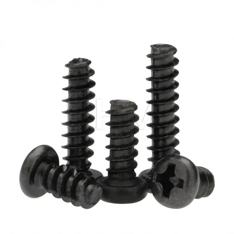 Black 2x10 cross recessed self tapping screw with cylindrical head Pan head screws 02081533 DHM