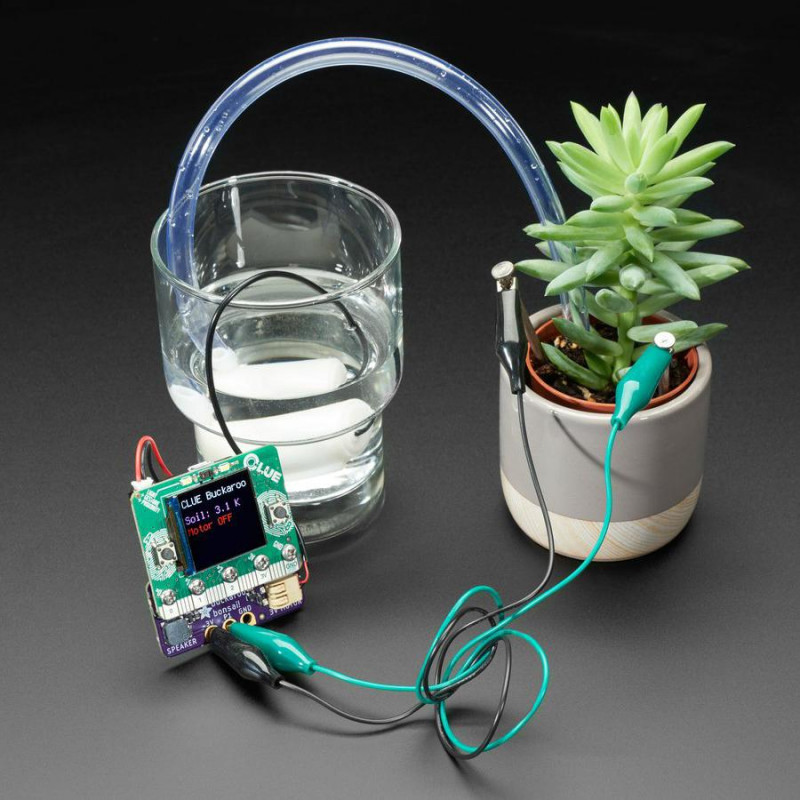 Adafruit Bonsai Buckaroo - micro:bit & CLUE Aide à l'entretien des plantes Adafruit 19040537 Adafruit