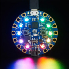 Circuit Playground Bluefruit - Bluetooth Low Energy (basse énergie) Adafruit 19040592 Adafruit