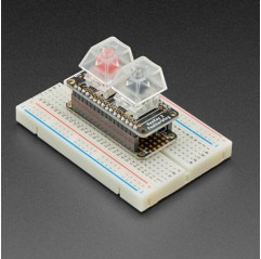 NeoKey FeatherWing - Two Mechanical Key Switches with NeoPixels Adafruit 19040707 Adafruit