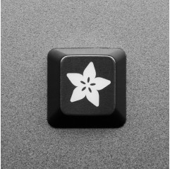 Adafruit Etched R4 Keycap for MX Compatible Switches Adafruit19040720 Adafruit