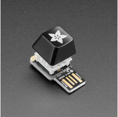 Adafruit Etched R4 Keycap for MX Compatible Switches Adafruit19040720 Adafruit
