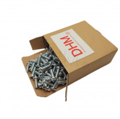 Galvanized 3x8 cross recessed round head screw - Pack of 2000 pieces Pan head screws 02082678 DHM