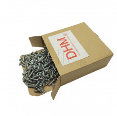 Galvanized 5x12 Allen recessed round head screw - Pack of 500 pieces Pan head screws 02082746 DHM