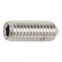 Grain with hexagon socket M6x6 conical tip - headless screw stainless steel A2 Grains 02083319 DHM