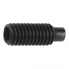 Grain with hexagon socket M5x6 cylindrical tip - steel headless screw Grains 02083355 DHM