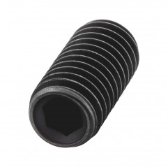 Grain with hexagon socket M5x30 cylindrical tip - steel headless screw Grains 02083363 DHM