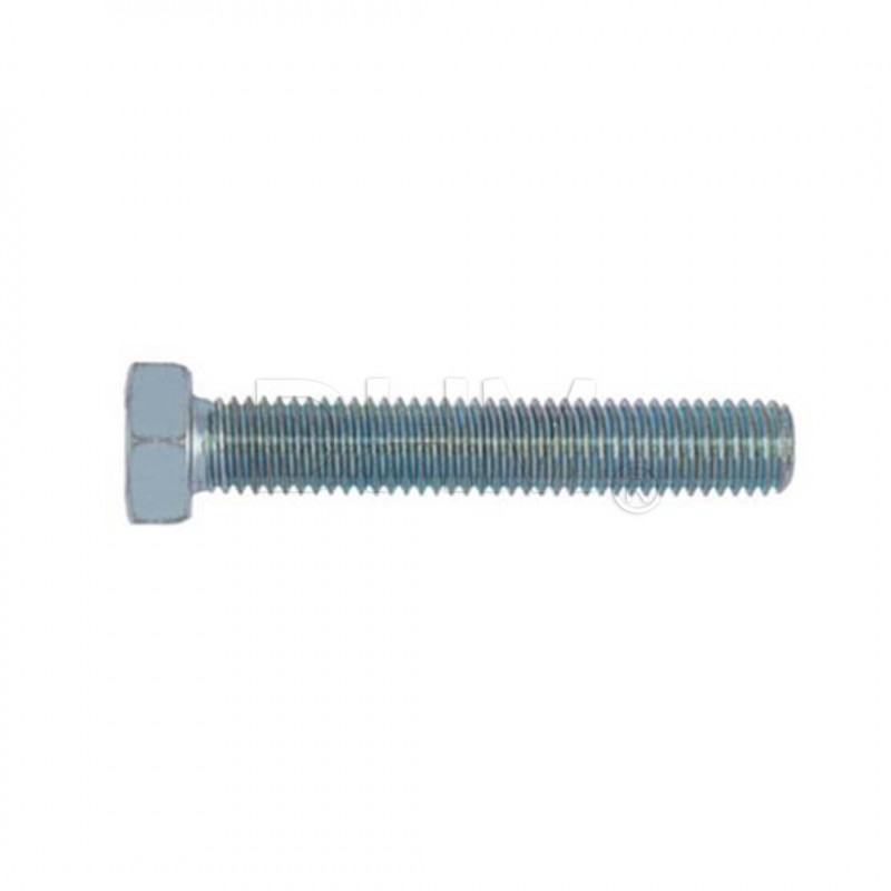 Hexagonal head screw with galvanized full thread 6x30 Hex head screws 02080228 DHM