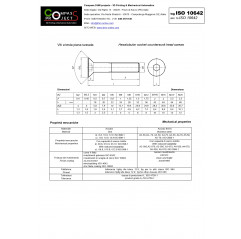 Countersunk flat head screw with galvanized socket 5x10 Countersunk flat head screws 02080333 DHM