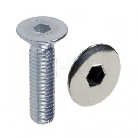 Tornillo avellanado de cabeza plana con hueco Allen galvanizado 8x50 Tornillos de cabeza plana avellanada 02080358 DHM