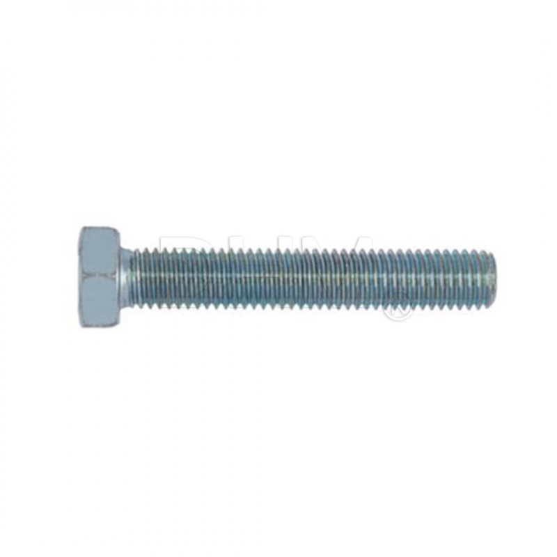 Vite 5x50 testa esagonale con filettatura intera zincata (Zinc Plated) Viti a testa esagonale02081280 DHM