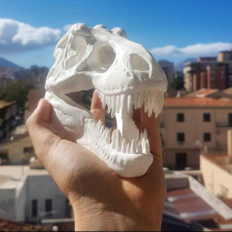 Campione Filamento PETG Bianco 1.75mm 50g 17m - filamenti per stampa 3D FDM AzureFilm