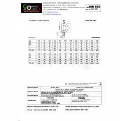 Verzinkte Ringschraube M36 - männliche Ringschraube Sechskantmuttern 02083621 DHM