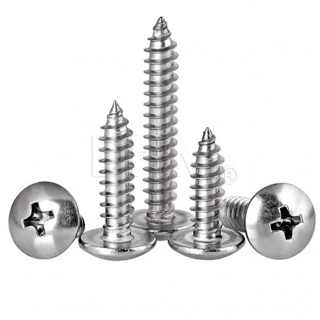 M2x5 mm Kreuzschlitzschraube mit zylindrischem Kopf aus Edelstahl, selbstschneidend Zylinderkopfschrauben 02083725 DHM