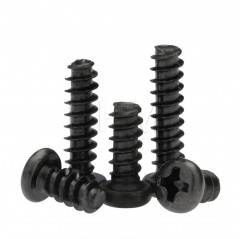 Self-tapping black 2x12 Phillips recessed head screw Pan head screws 02083734 DHM
