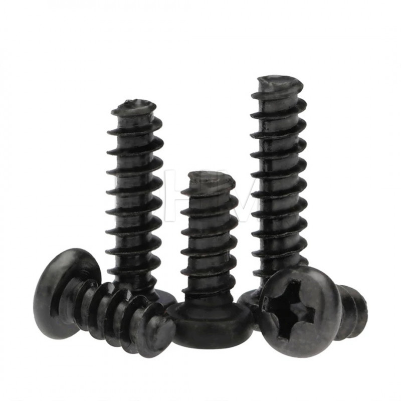 Self-tapping black 2x12 Phillips recessed head screw Pan head screws 02083734 DHM