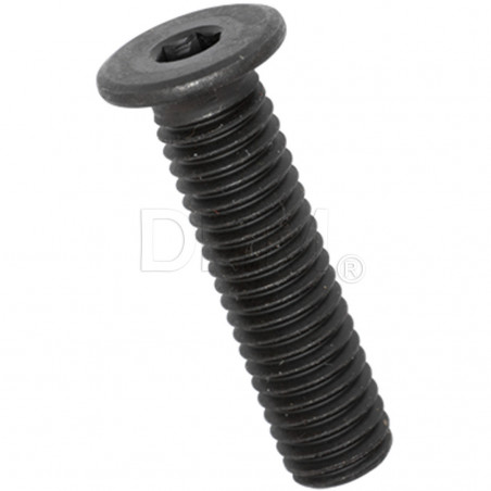 3x3 lowered cylindrical head screw with Allen recess stainless steel 304 black Cylindrical head screws 02083766 DHM