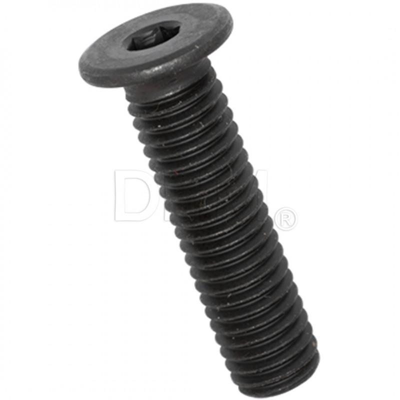 Tornillo 3x18 cabeza cilíndrica rebajada con hexágono interior acero inoxidable 304 negro Tornillos de cabeza cilíndrica 0208...