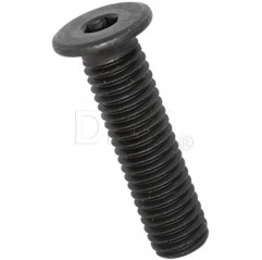 Vis 3x40 à tête cylindrique abaissée avec empreinte Allen acier inoxydable 304 noir Vis à tête cylindrique 02083782 DHM