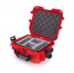 Nanuk Case 905 with padded divider