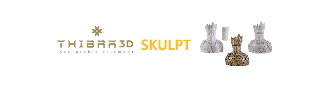 Thibra3D SKULPT | Compass DHM projects