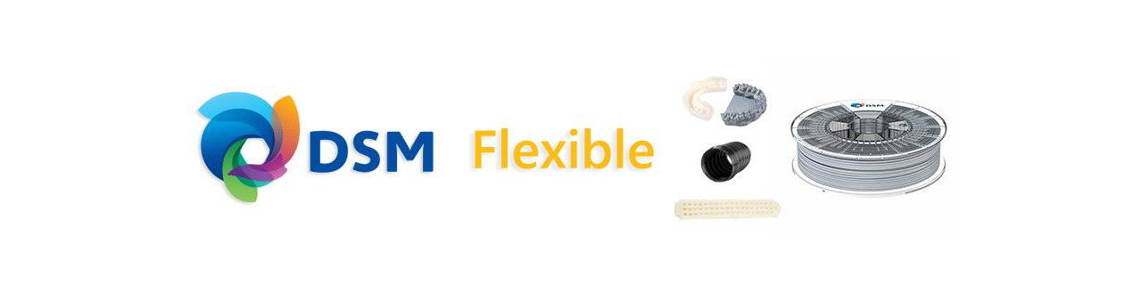 Flexible by DSM | Compass DHM projects