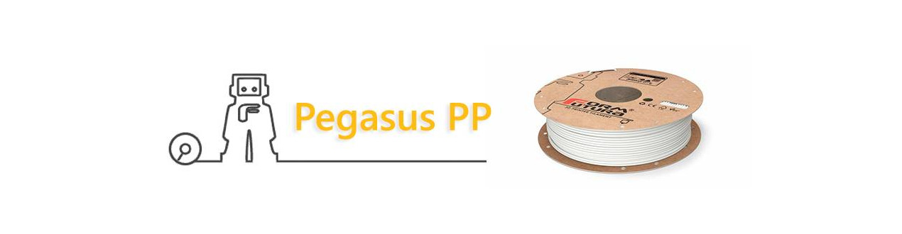 Pegasus PP Ultraleggero Formfutura | Compass DHM projects