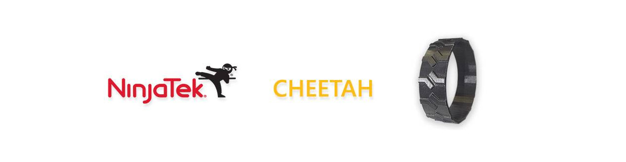 Cheetah NinjaTek | Compass DHM projects